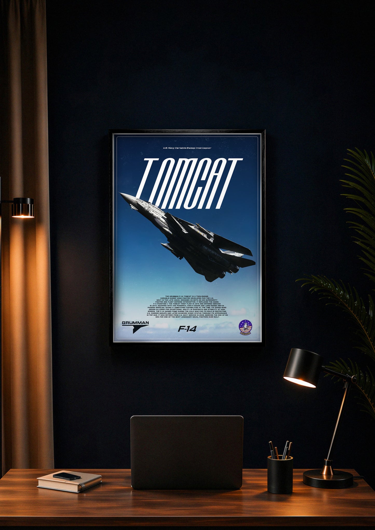 F-14 Tomcat Poster
