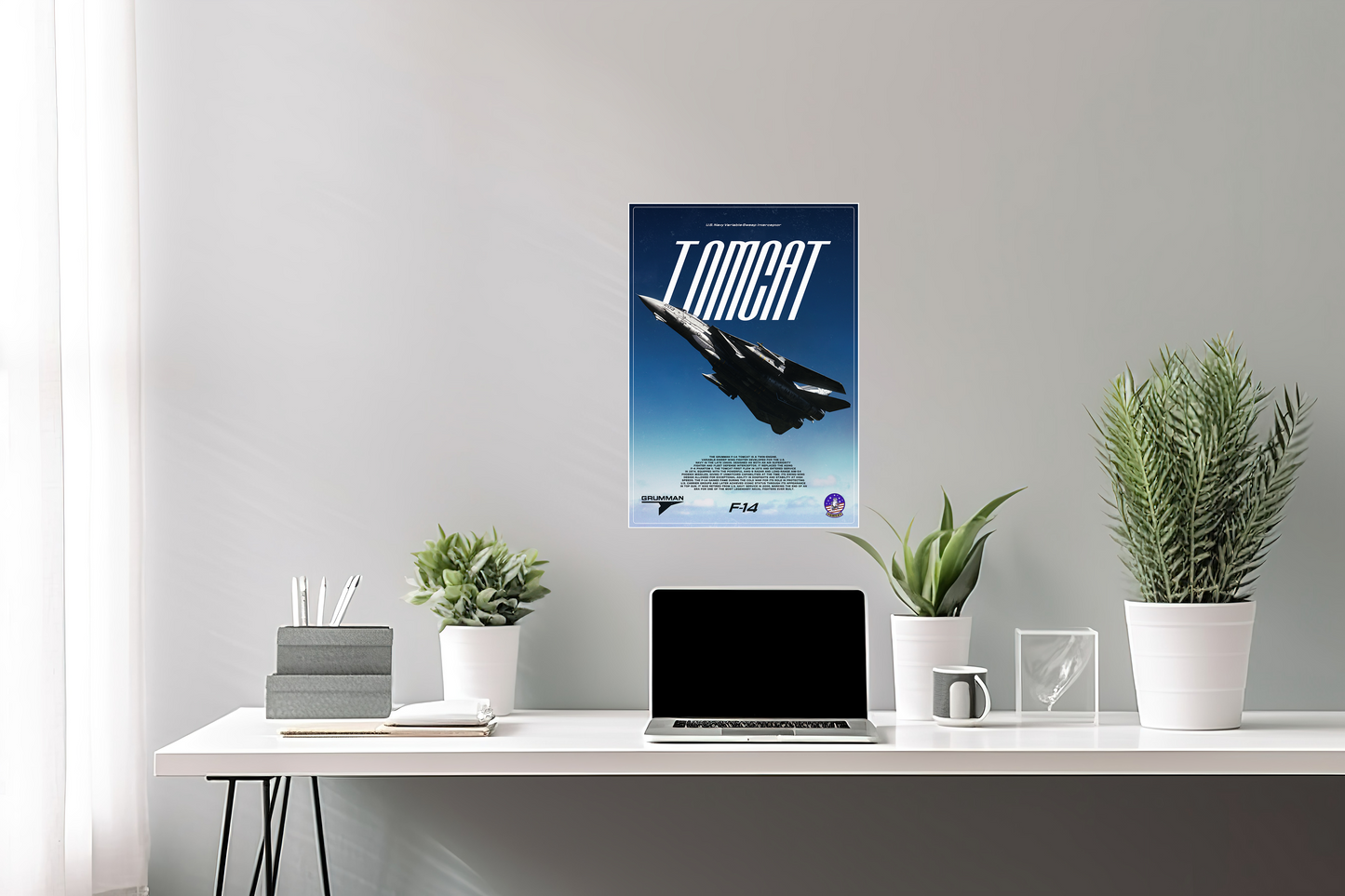 F-14 Tomcat Poster